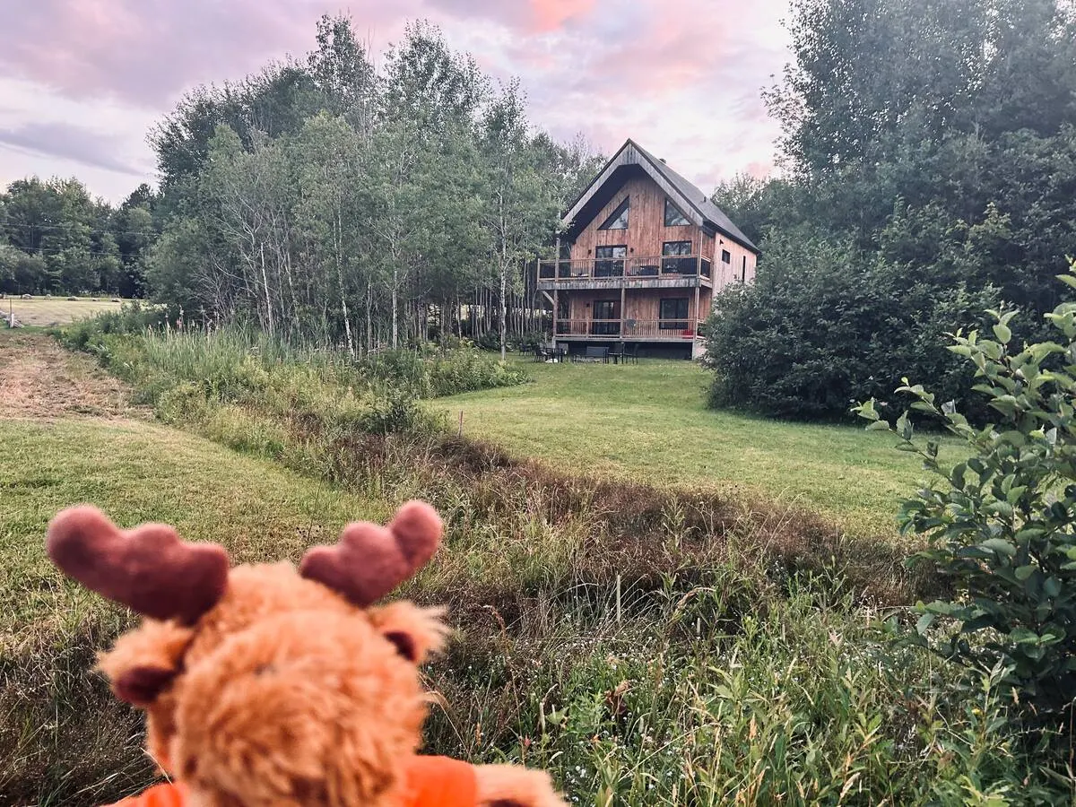 A plush moose in the foreground looking across the meadow at the villa